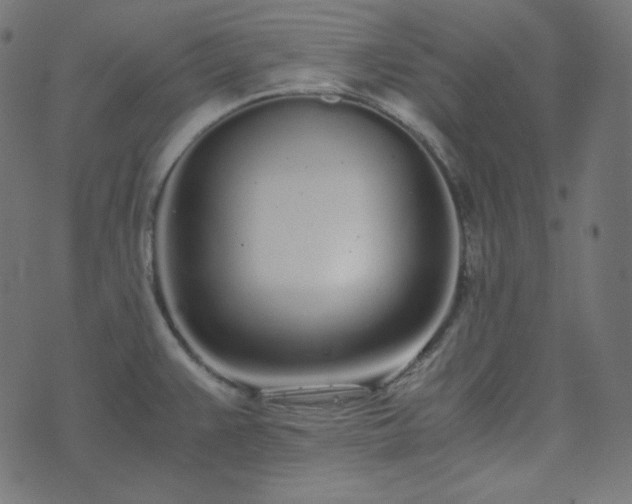 X0000073921383200608181038