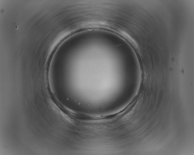 X0000073921384200608181038