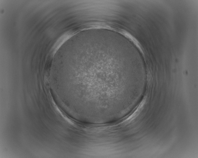 X0000073921385200608181038