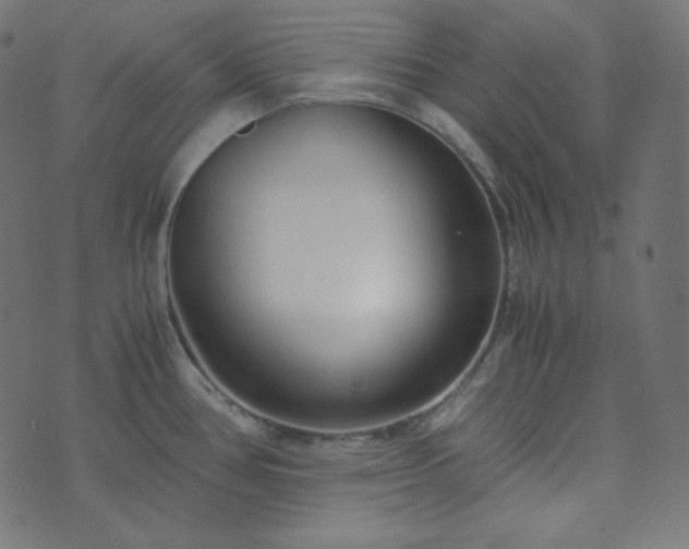 X0000073921386200608181038