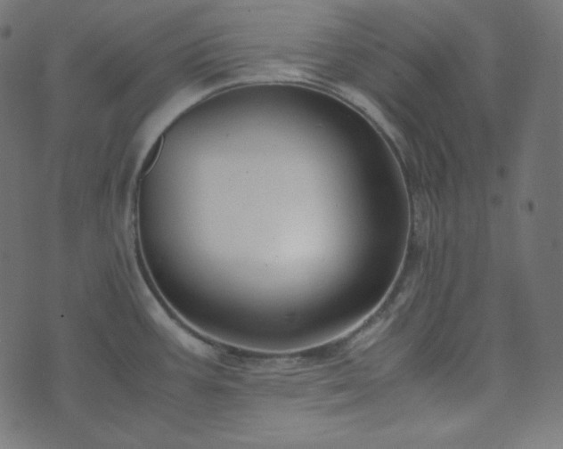 X0000073921387200608181038