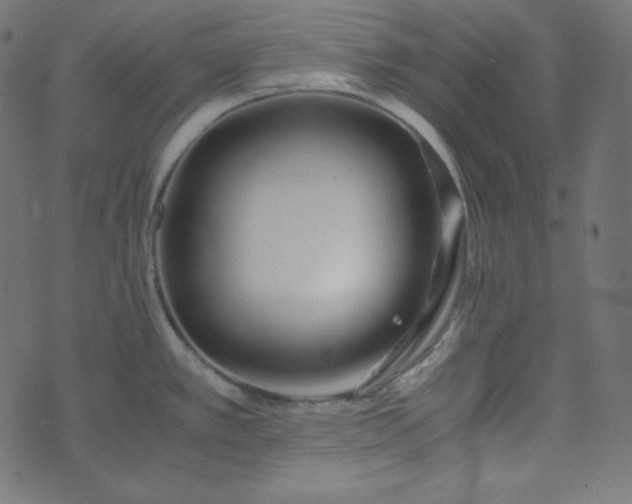 X0000073921389200608181038