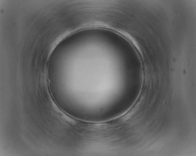 X0000073921390200608181038