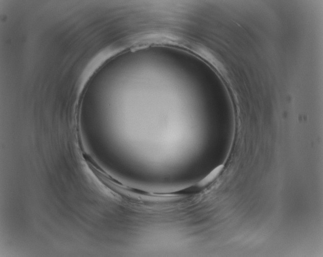 X0000073921392200608181038