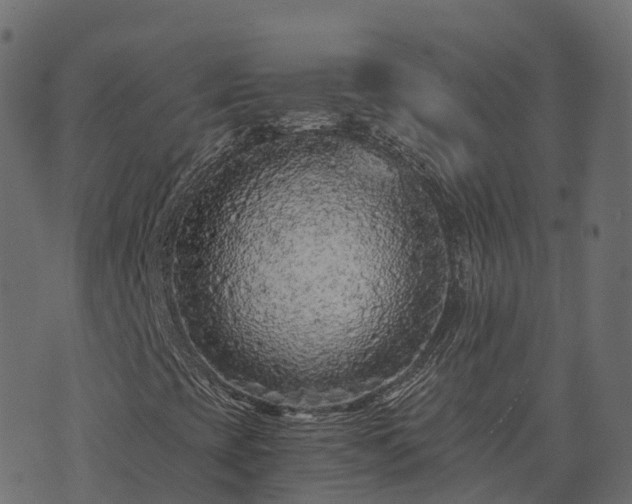 X0000073921393200608181037