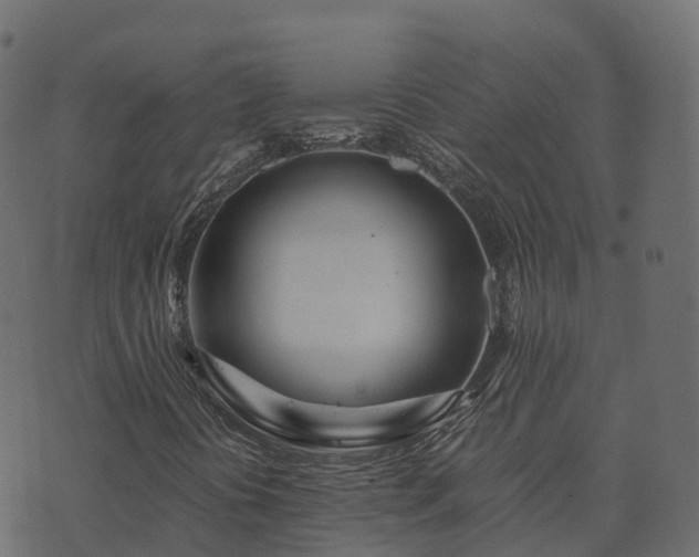 X0000073921394200608181037