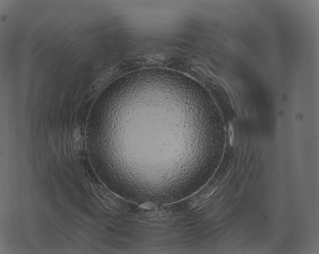 X0000073921395200608181037