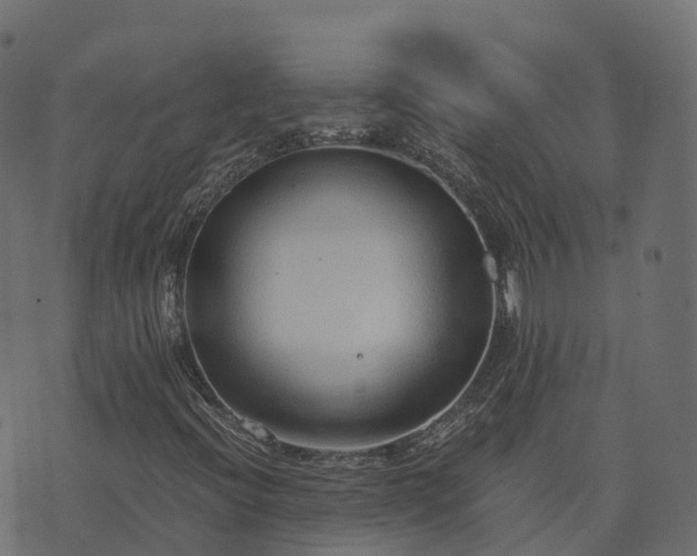 X0000073921396200608181037