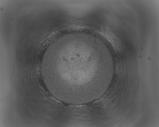 X0000073921397200608181037