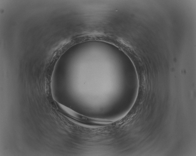 X0000073921398200608181037