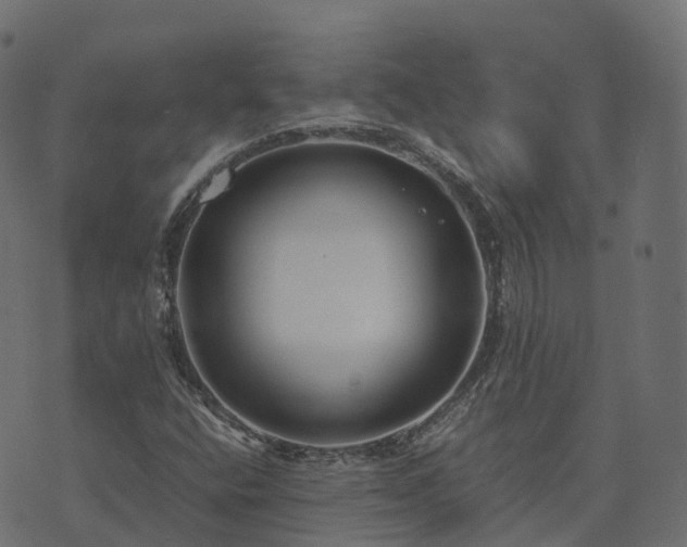 X0000073921400200608181037