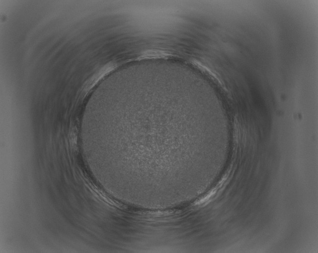 X0000073921401200608181037