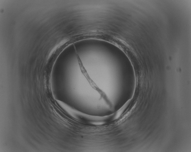 X0000073921402200608181037