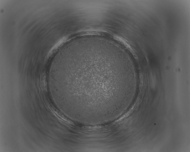 X0000073921403200608181037