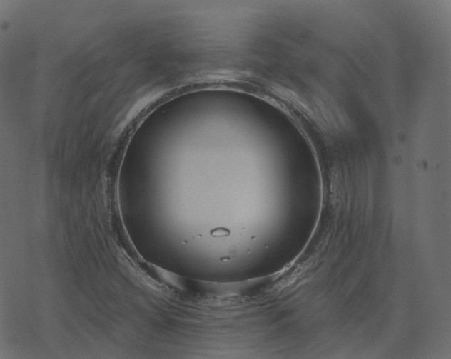 X0000073921404200608181037