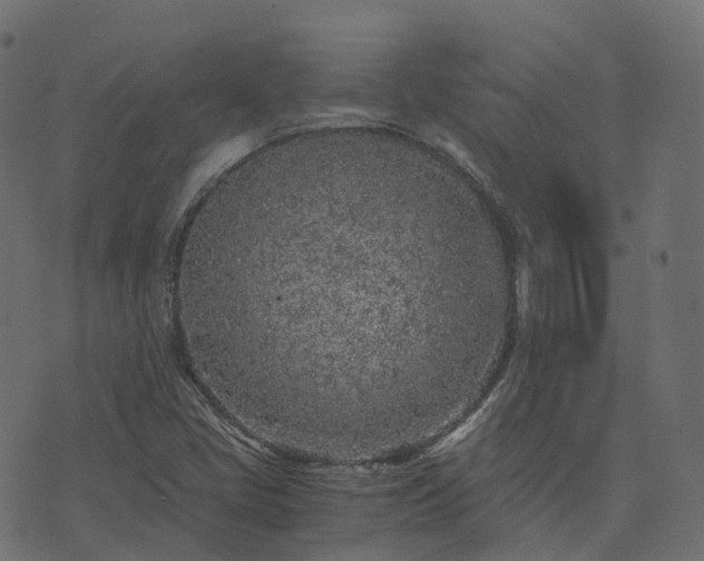 X0000073921405200608181037