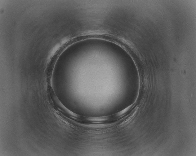 X0000073921406200608181037