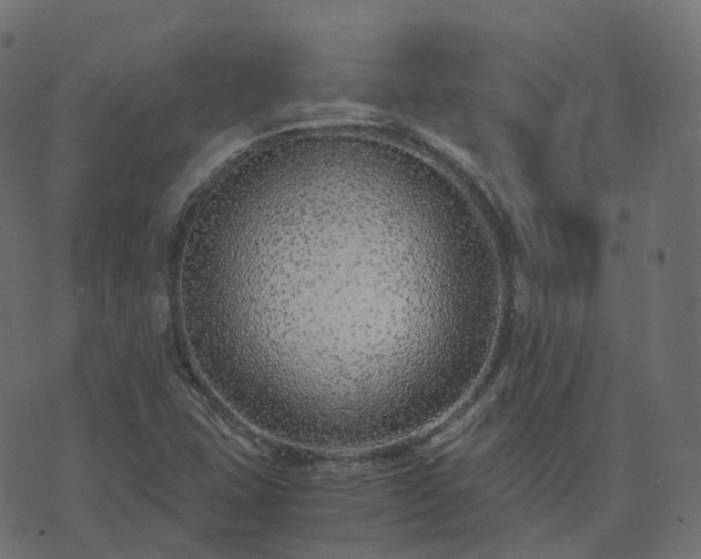 X0000073921407200608181037