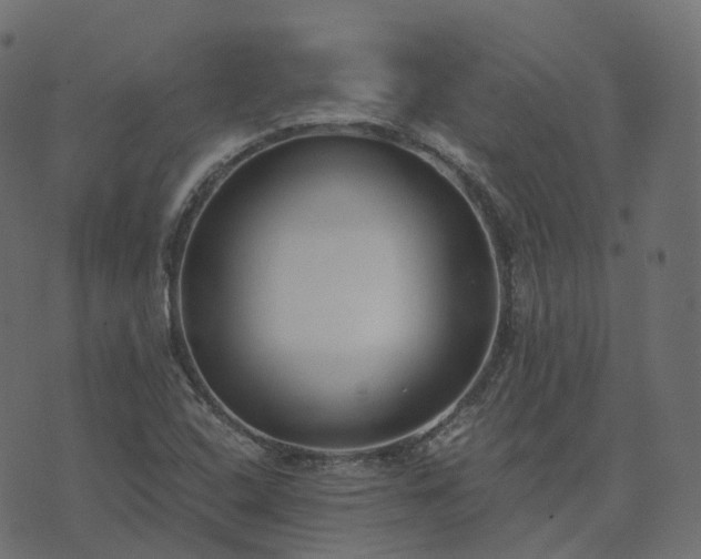 X0000073921408200608181037