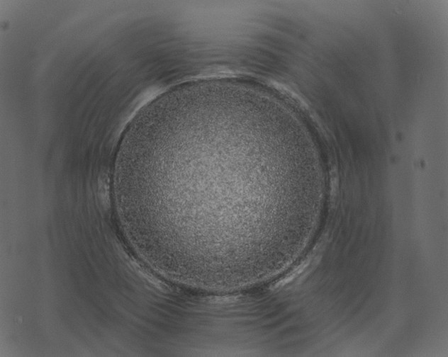 X0000073921409200608181037