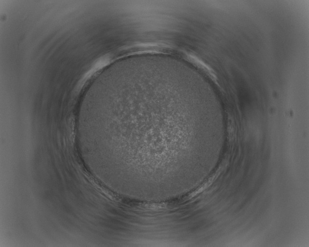 X0000073921411200608181038