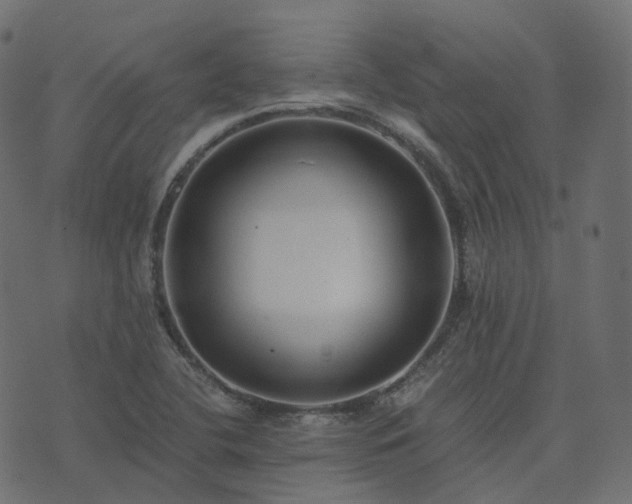 X0000073921412200608181038