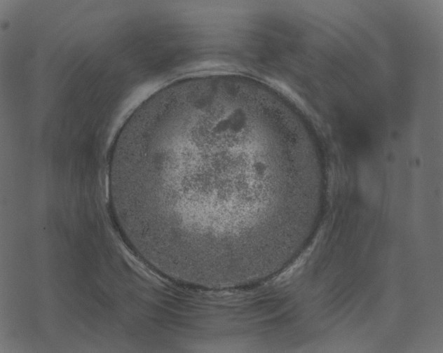 X0000073921413200608181038