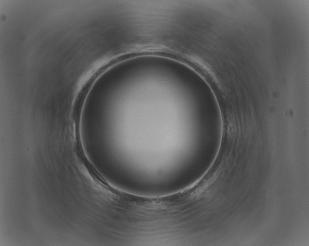 X0000073921414200608181038