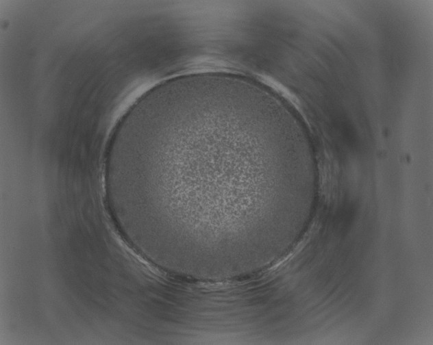 X0000073921415200608181038