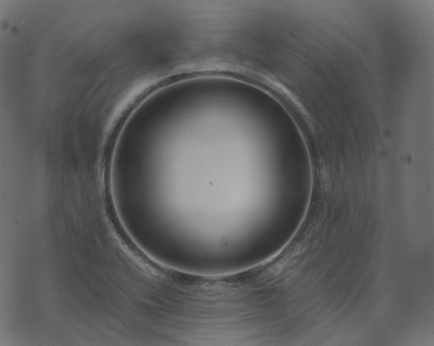 X0000073921416200608181038