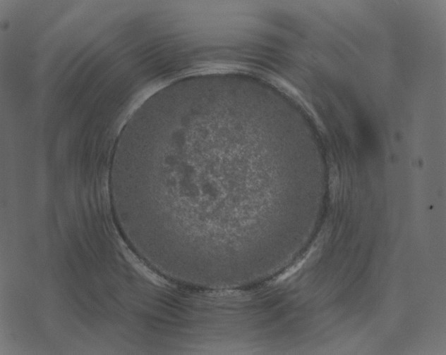 X0000073921417200608181038