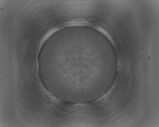 X0000073921419200608181038