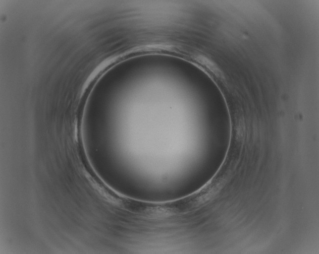 X0000073921420200608181038