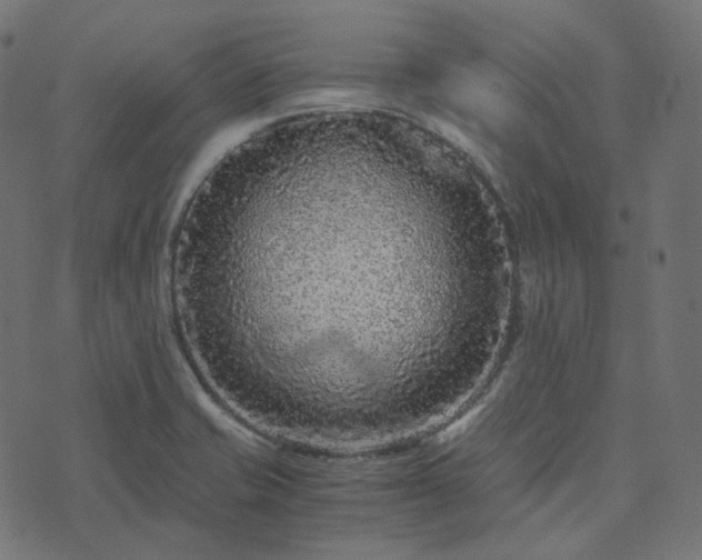 X0000073921421200608181038