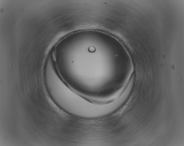 X0000073921422200608181038