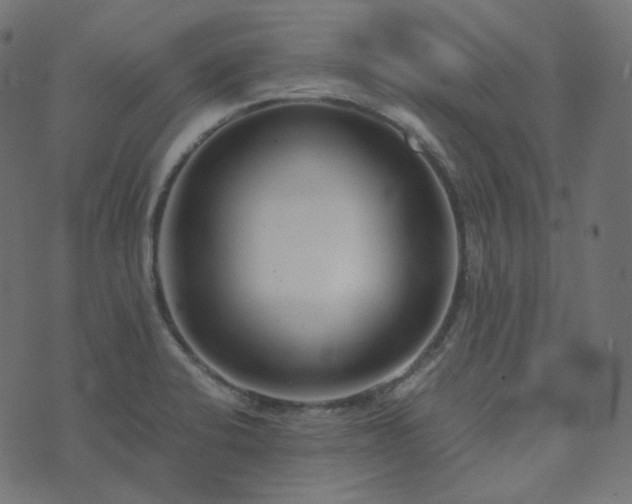 X0000073921424200608181038