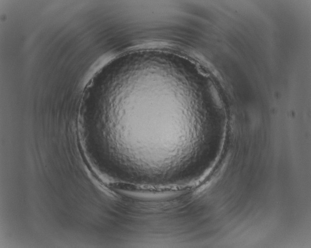 X0000073921425200608181038