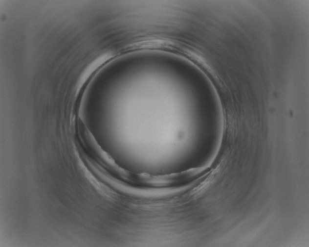 X0000073921426200608181038