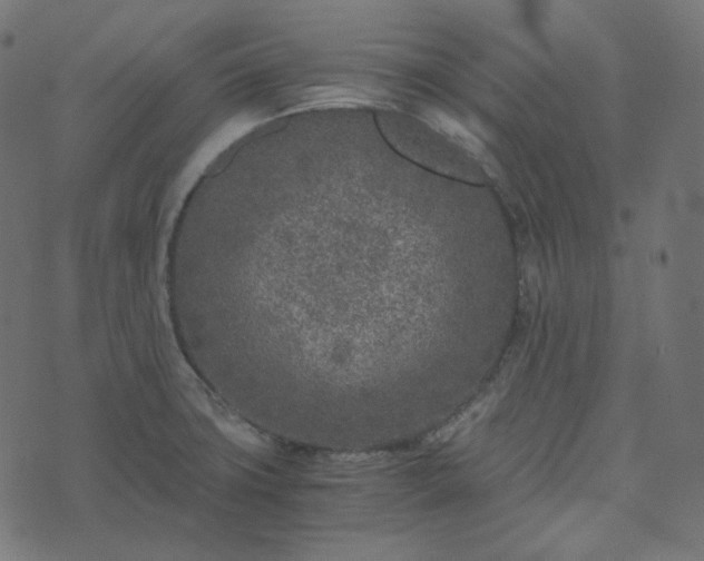 X0000073921427200608181038