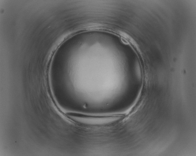 X0000073921429200608181038