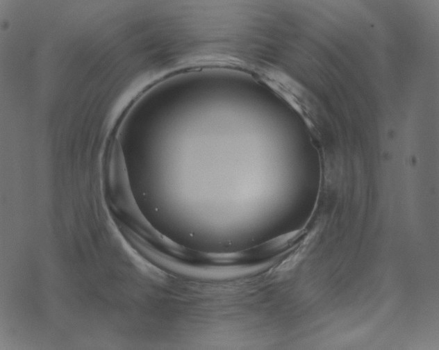 X0000073921430200608181038