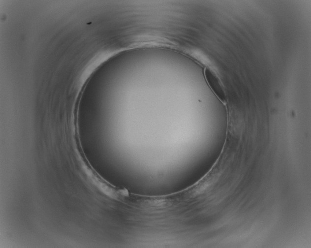 X0000073921431200608181038