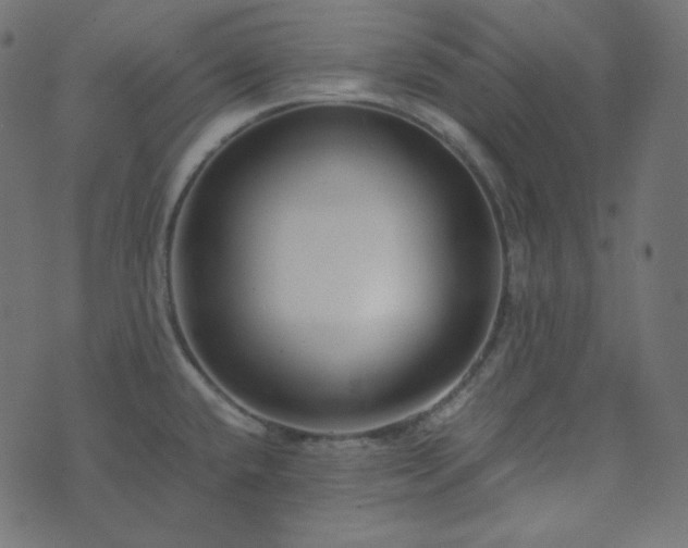 X0000073921432200608181038