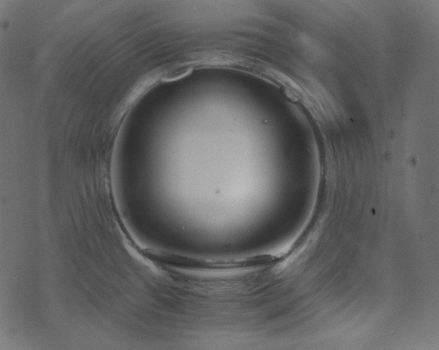 X0000073921433200608181038