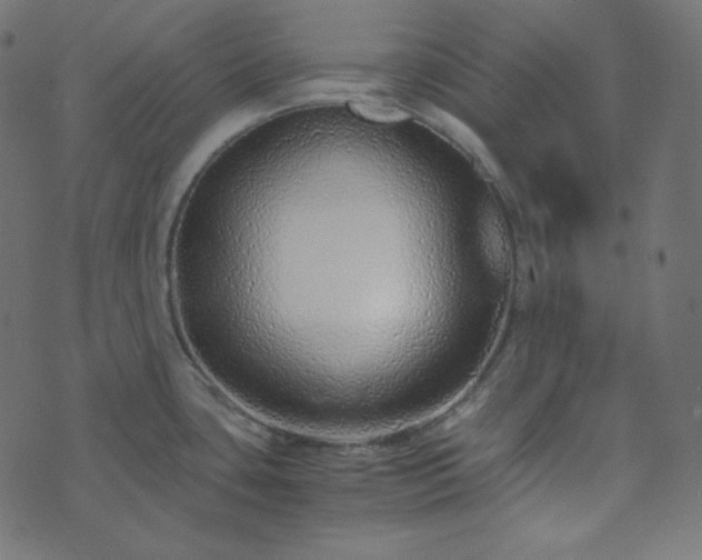 X0000073921435200608181038