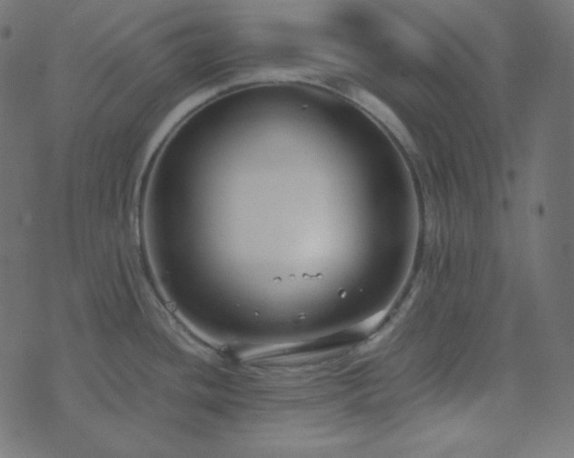 X0000073921436200608181038