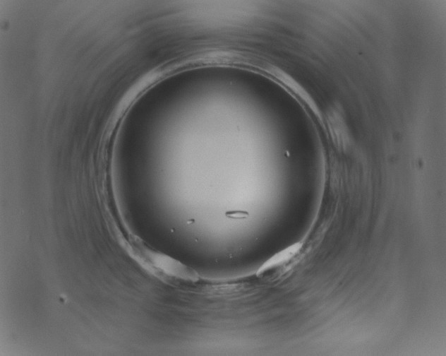 X0000073921437200608181038