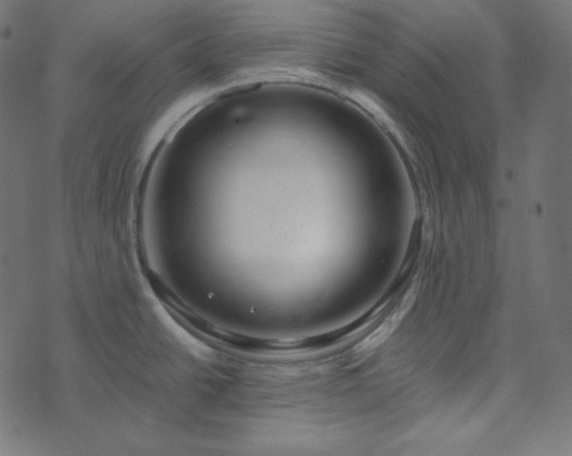 X0000073921438200608181038