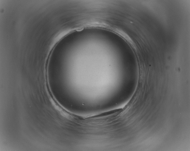 X0000073921439200608181038