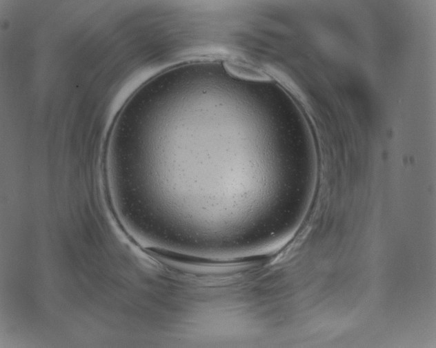 X0000073921440200608181038